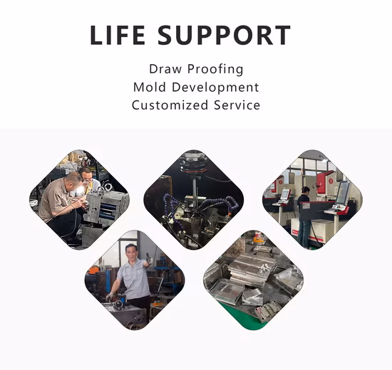 Customized High Quality Plastic Mold for Auto Parts